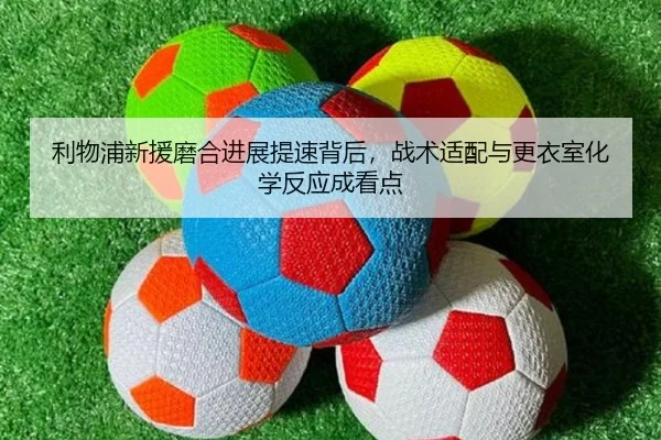 img_1781495311659_96_0_837.jpg